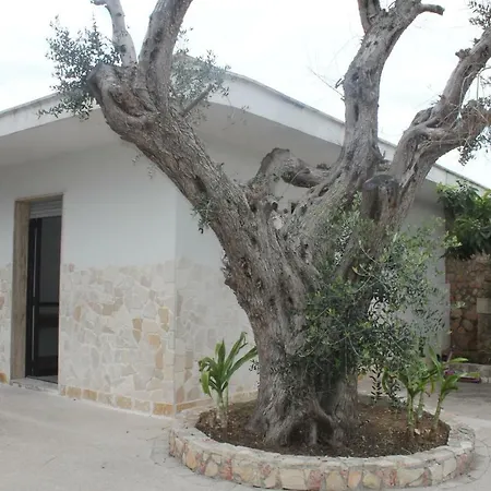 Holiday home Il Pino *