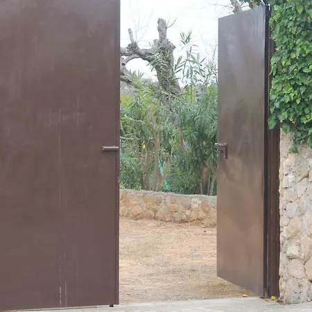 Il Pino