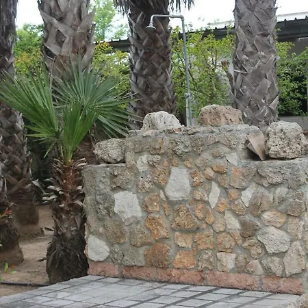 Il Pino Gallipoli