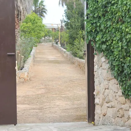 Il Pino Gallipoli